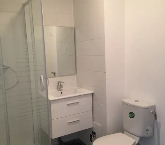 Location Lille Appartement 00d1c147