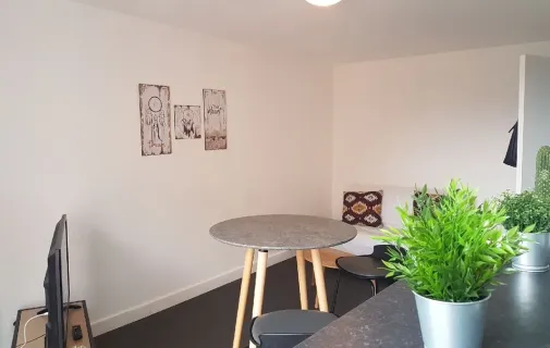 Location Lille Appartement 00d1c147