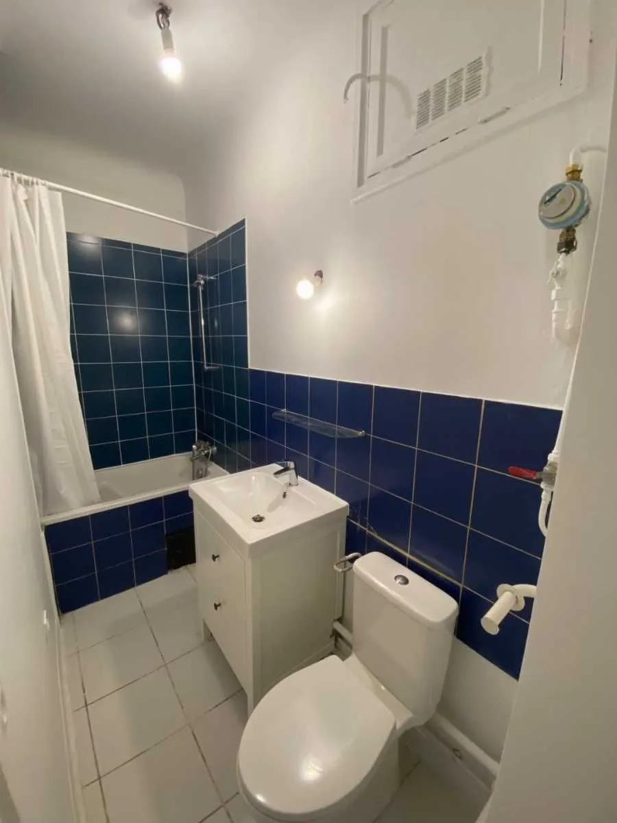 Location Lyon Appartement 01219790