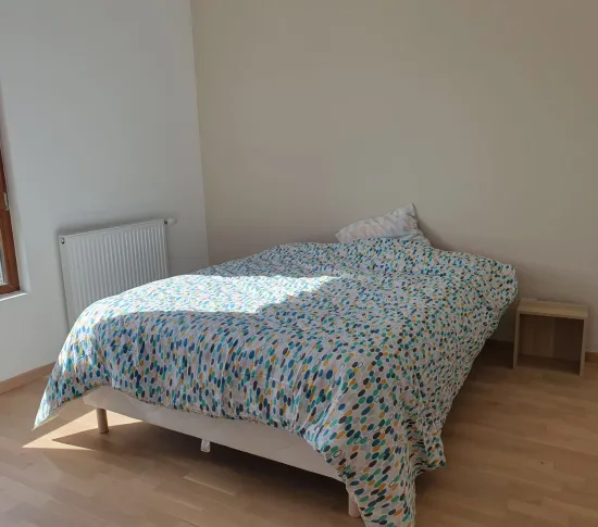 Location Villeurbanne Appartement 0359617b