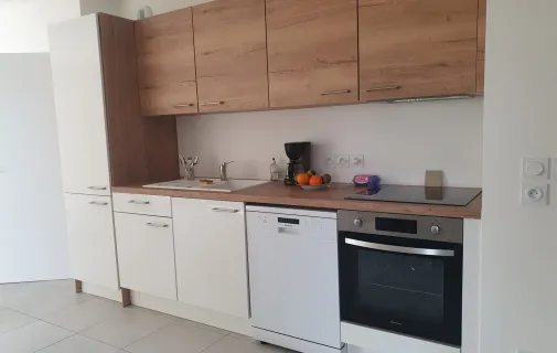 Location Villeurbanne Appartement 0359617b