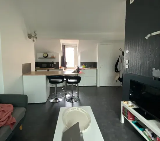 Location Villeurbanne Appartement 0deee944