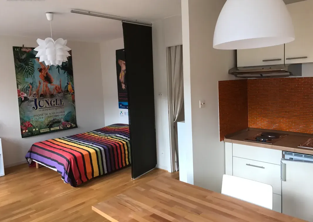 Location Strasbourg Appartement 0fcdb428