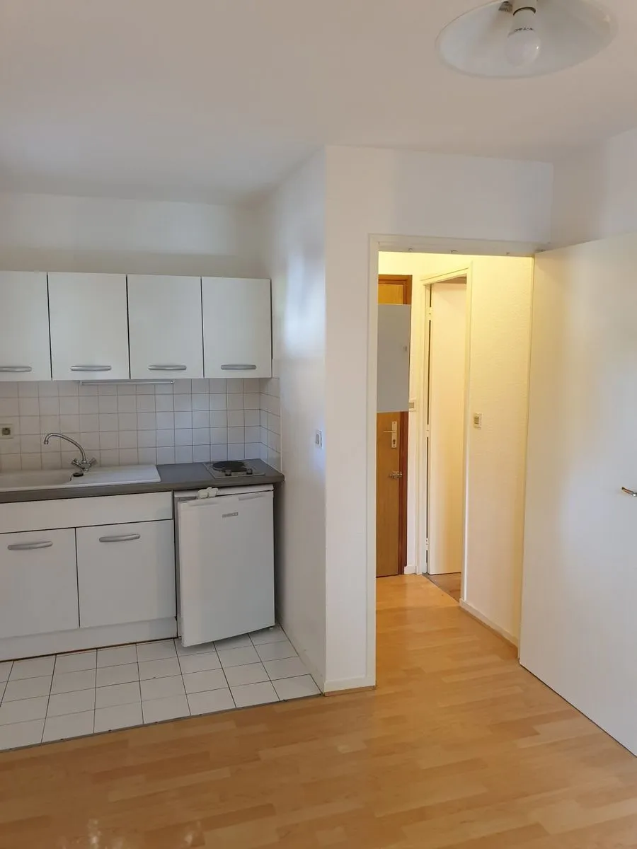 Location Toulouse Appartement 15162087