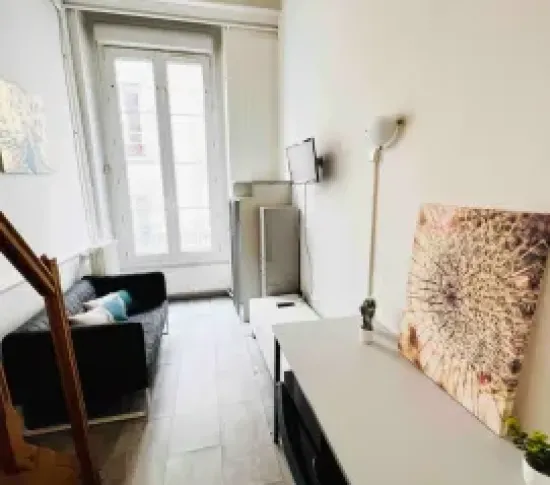 Location Lyon Appartement 1d349e43