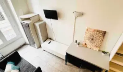 Location Lyon Appartement 1d349e43