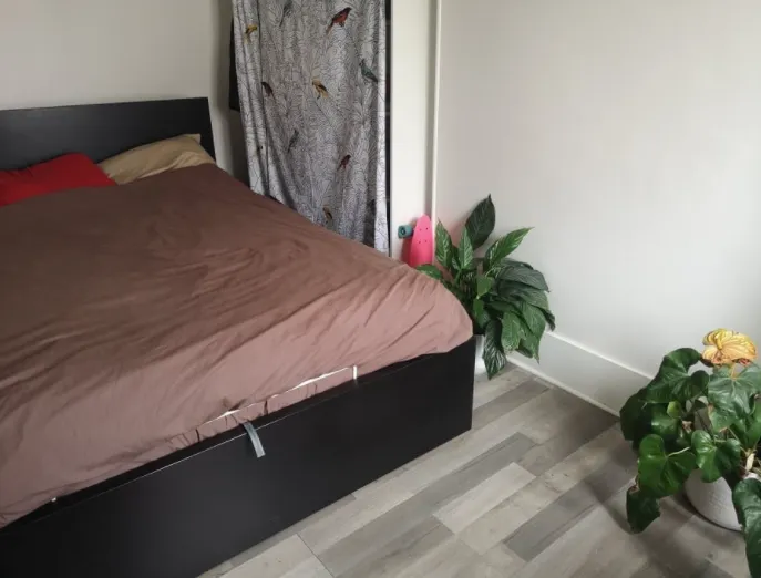 Location Paris Appartement 1f780e72