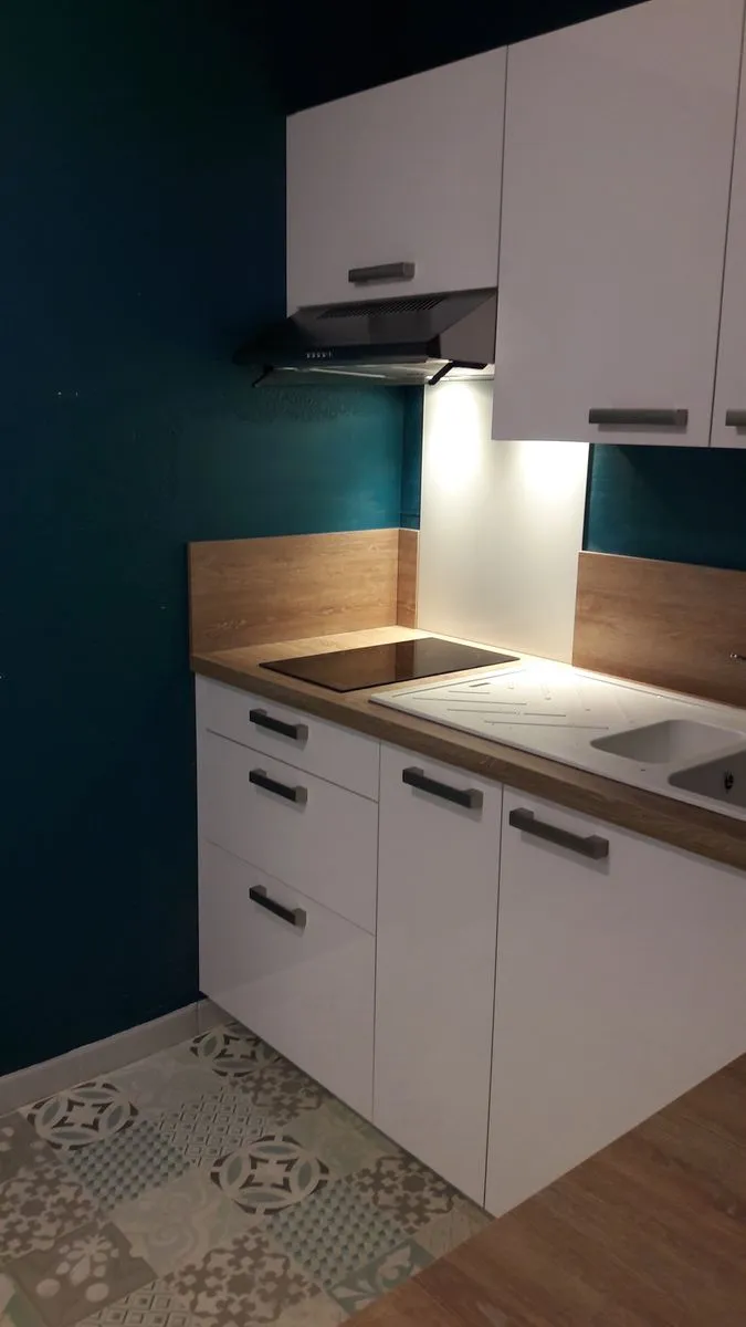 Location Grenoble Appartement 29c6dda3