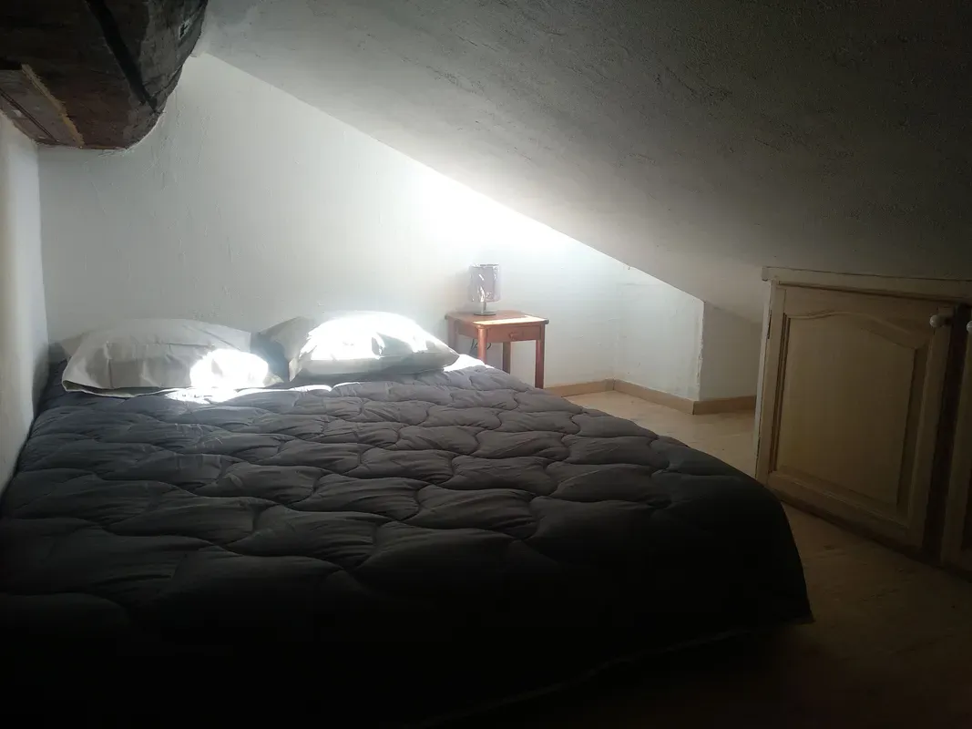 Location Grenoble Appartement 34ae8d5c