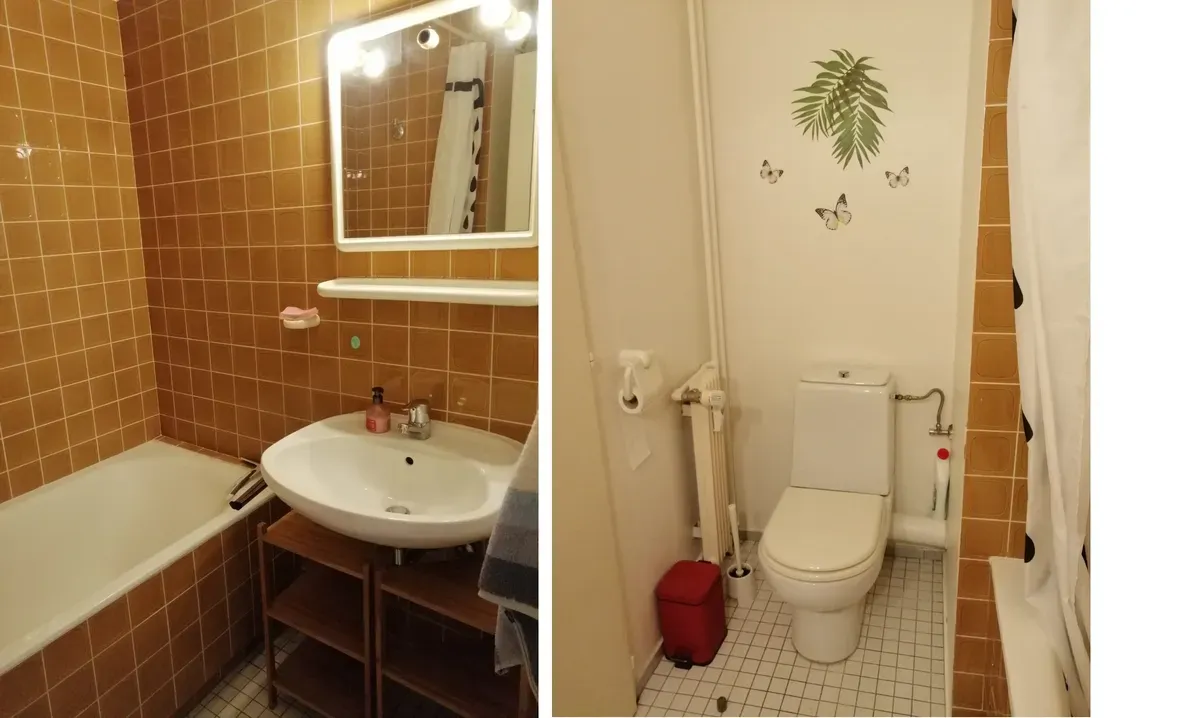 Location Strasbourg Appartement 3f61ba6b