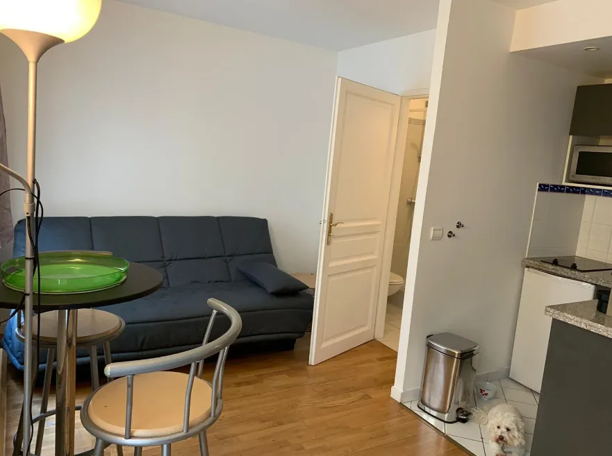 Location Paris Appartement 4223d299