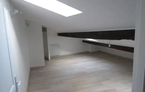 Location Saint-Étienne Appartement 45fc43f9