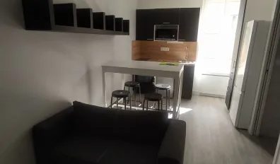 Location Saint-Étienne Appartement 494ea8c8