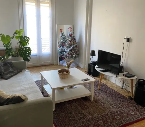 Location Nice Appartement 4d6280a0