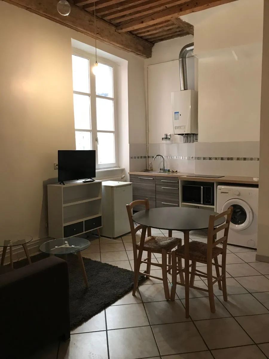 Location Lyon Appartement 4e820842