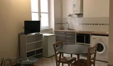 Location Lyon Appartement 4e820842