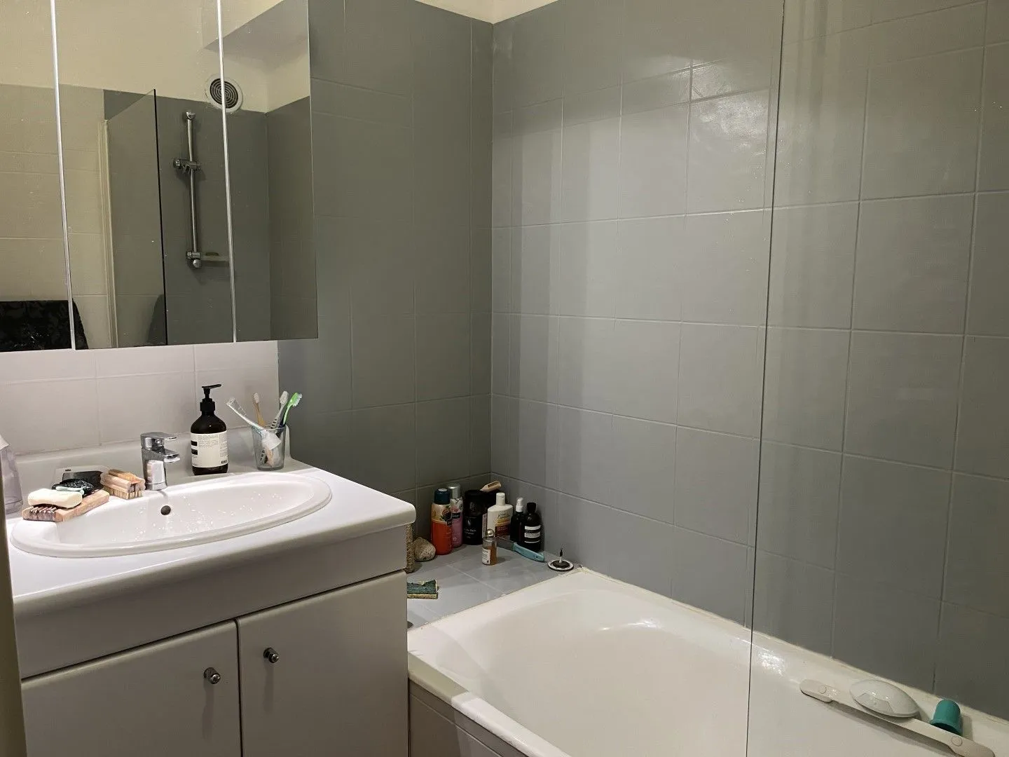 Location Toulouse Appartement 5021e697