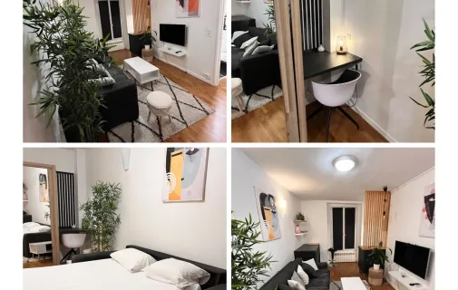 Location Paris Appartement 50766acf