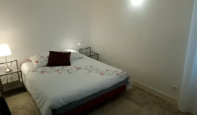 Location Montpellier Appartement 53651913