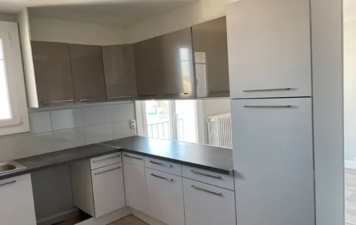 Location Villeurbanne Appartement 545200a3