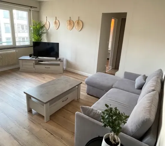 Location Nancy Appartement 5e889e43