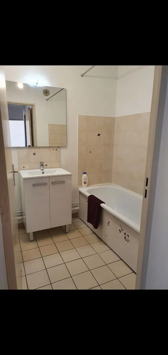 Location Toulouse Appartement 61fc3fa5