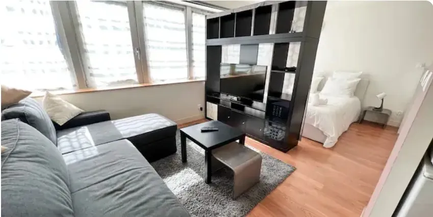 Location Le Kremlin-Bicêtre Appartement 6699279423d1