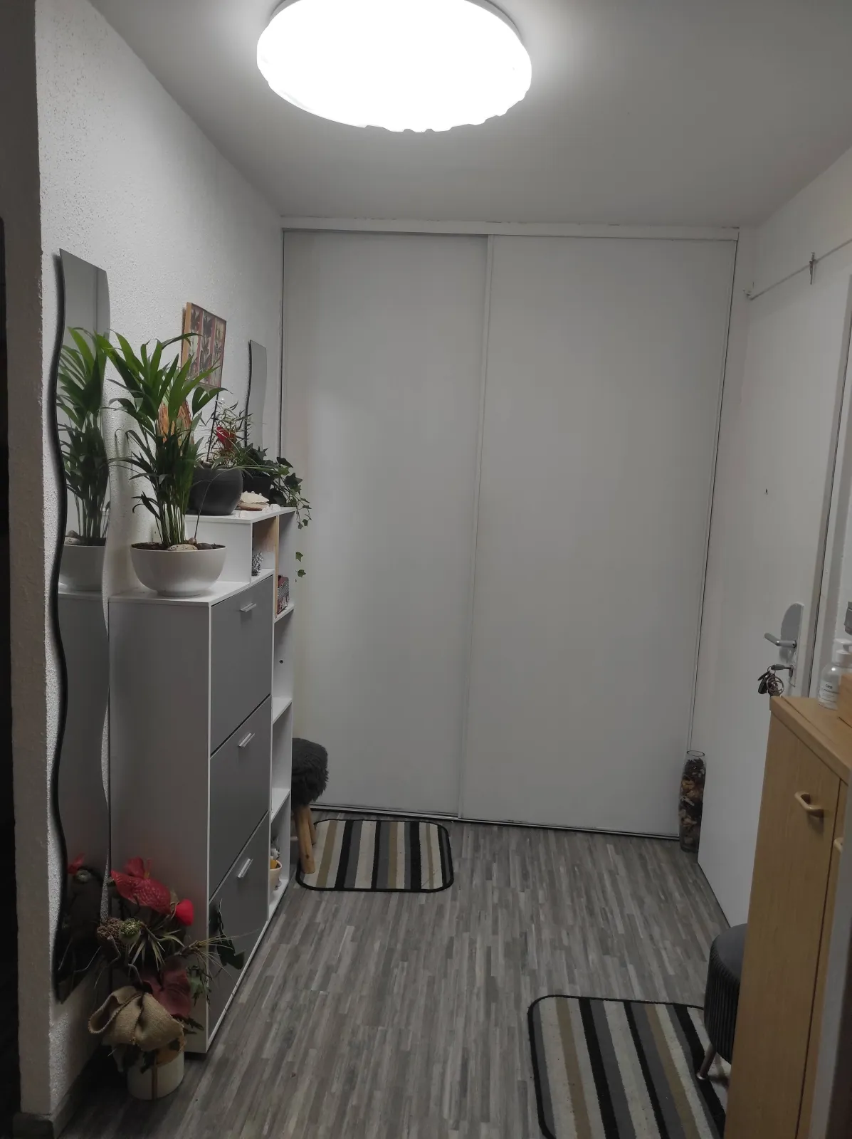 Location Strasbourg Appartement 6699cc5934ca