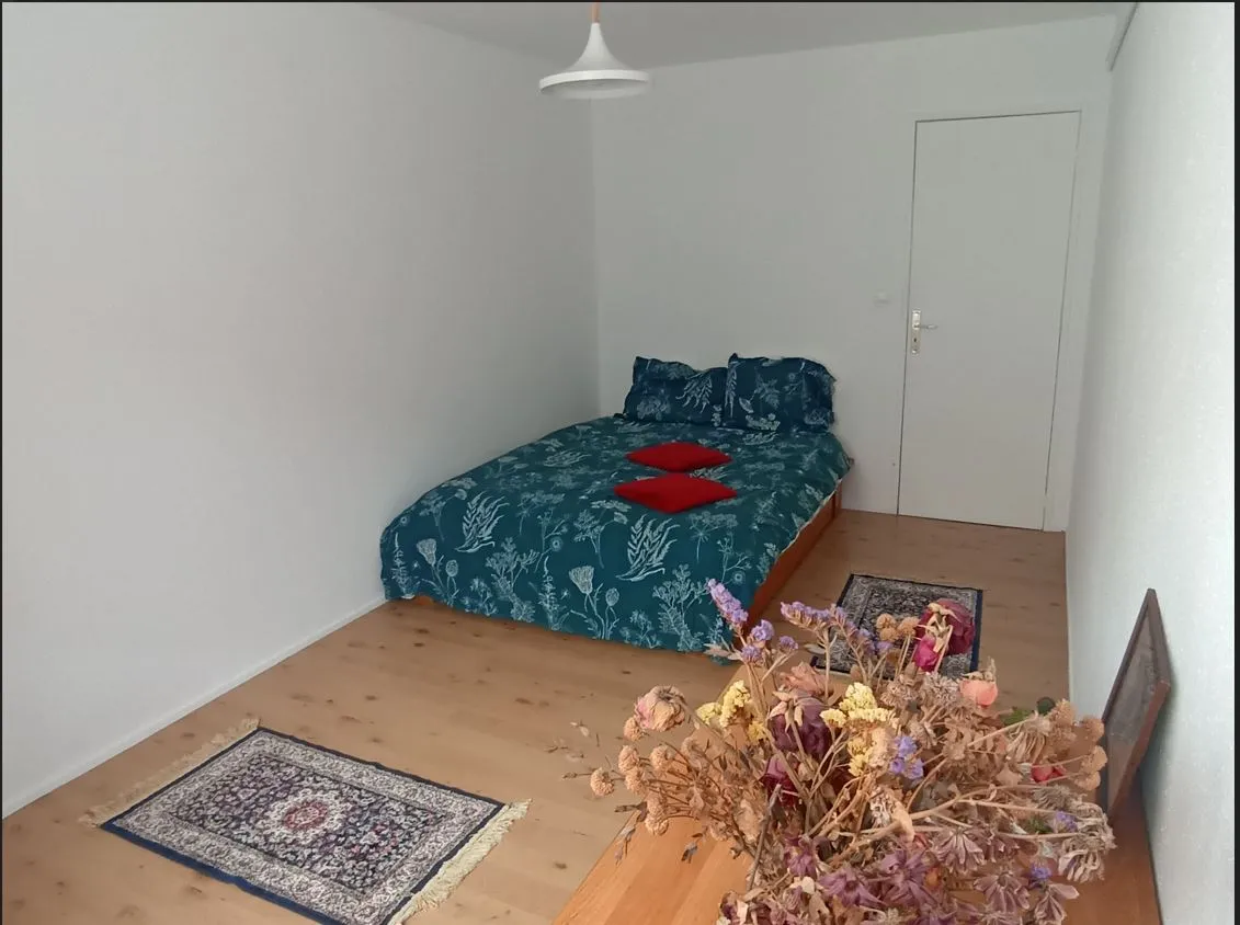 Location Strasbourg Appartement 669bb8d0d13e