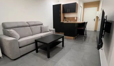 Location Saint-Étienne Appartement 66a20179491b