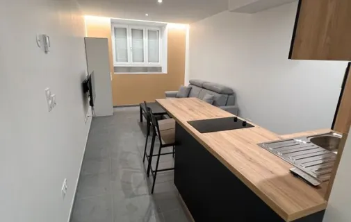 Location Saint-Étienne Appartement 66a20179491b