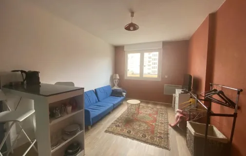 Location Saint-Étienne Appartement 66c344c55e0e