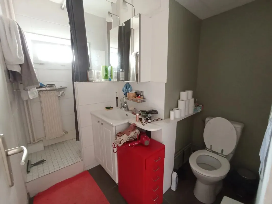 Location Villeurbanne Appartement 66c4601c9ded