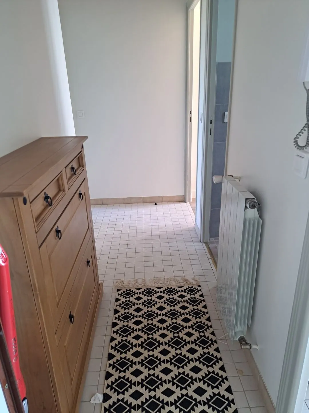 Location Saint-Denis Appartement 66cf1c50e243