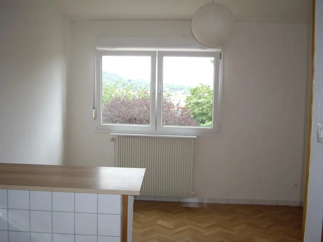 Location Nancy Appartement 66d04b21c9d7