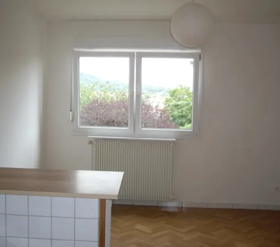 Location Nancy Appartement 66d04b21c9d7