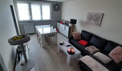 Location Saint-Étienne Appartement 66d08c424116