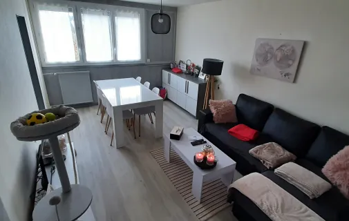 Location Saint-Étienne Appartement 66d08c424116