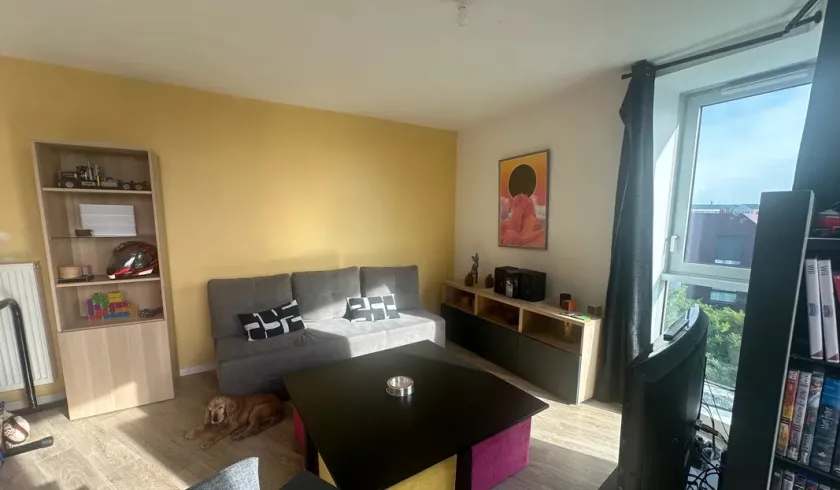 Location Lille Appartement 66e978f60d4b