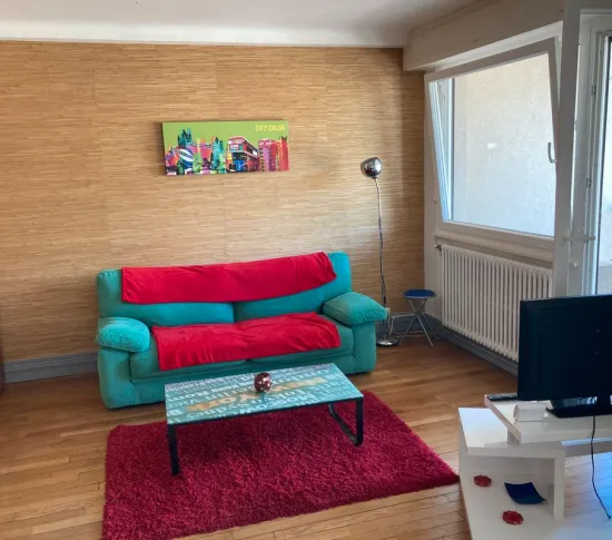 Location Nancy Appartement 66f52bd8c301