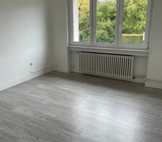 Location Metz Appartement 66f68c047500