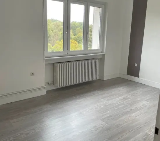 Location Metz Appartement 66f68c047500