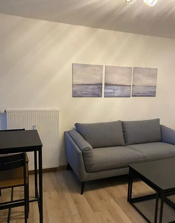 Location Mulhouse Appartement 6718fd9a459e