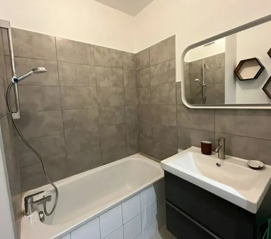 Location Saint-Étienne Appartement 672c8cd341d5