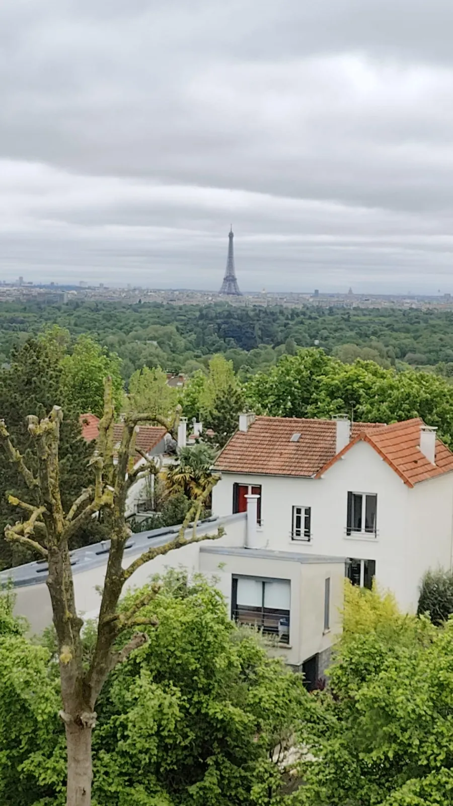 Location Suresnes Appartement 672e5b167490