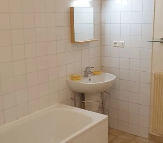 Location Lyon Appartement 6744ac091257