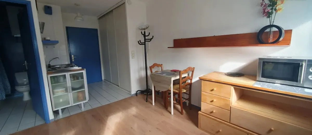 Location Lyon Appartement 674ef1100010