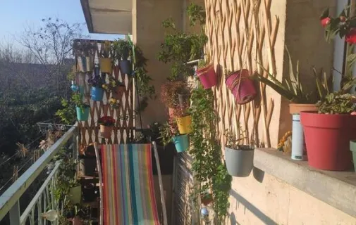 Location Montpellier Appartement 6763ee252572