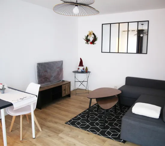 Location Lille Appartement 67729ae5e3c1