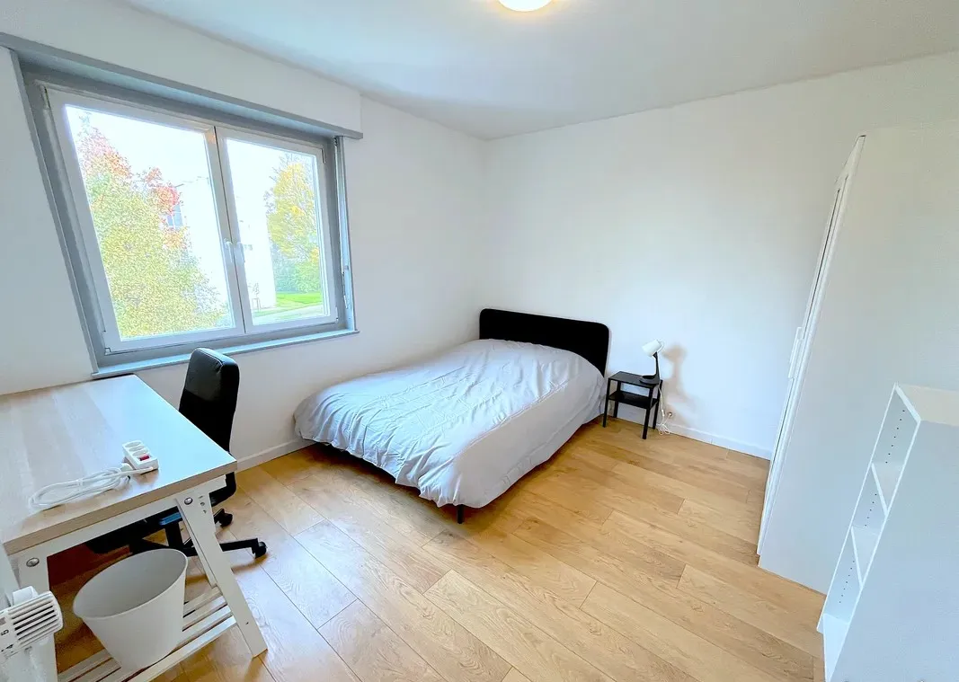 Location Mulhouse Chambre 677e75212c09